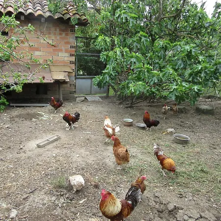 Maison Iris * Villeneuve-lès-Montréal