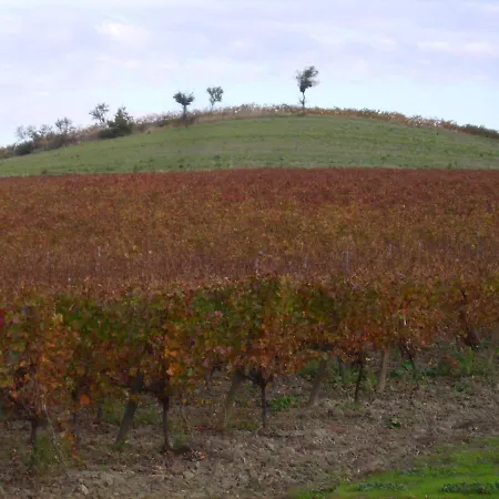 בית נופש Maison Iris