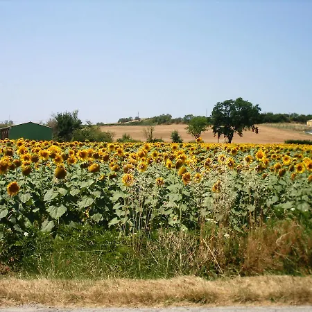 Maison Iris Villeneuve-lès-Montréal