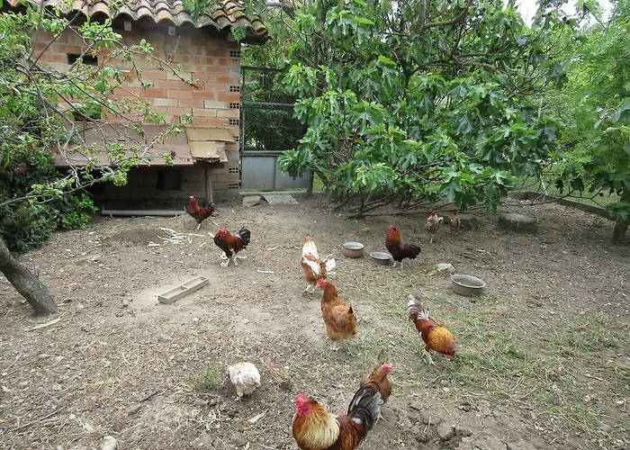 Maison Iris * Villeneuve-lès-Montréal