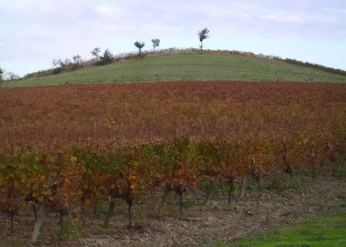 Nyaraló Maison Iris