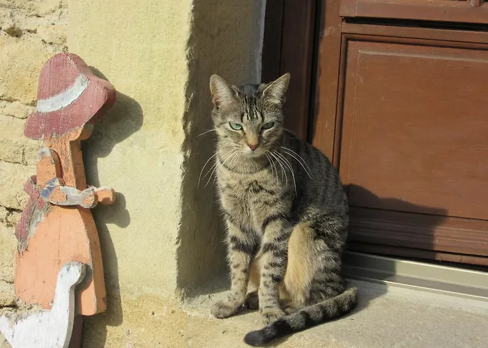 Maison Iris * Villeneuve-lès-Montréal