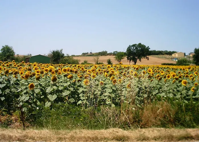 Maison Iris Villeneuve-lès-Montréal